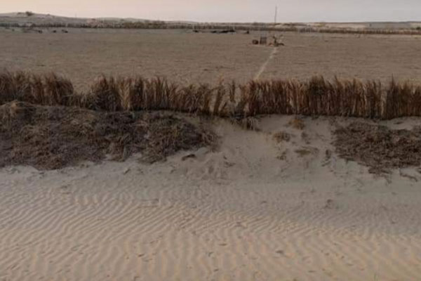 I need help to reclaim a plot of agricultural land