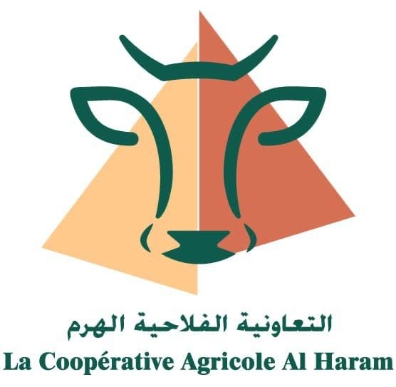 EL KHALFAOUI